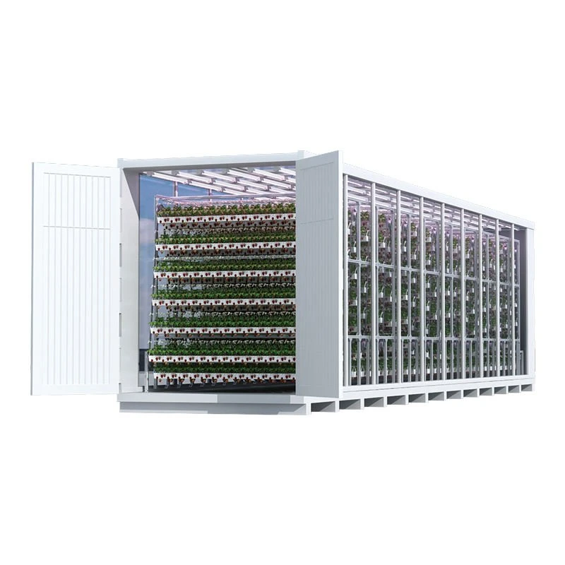 Wholesale/Supplier Movable Hydroponic Grow System Intelligent Container Plant Factory for Strawberry