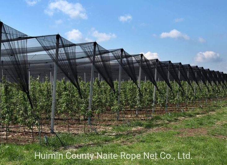 Fruit Tree Net Protection Cover Anti Insect Mesh Netting