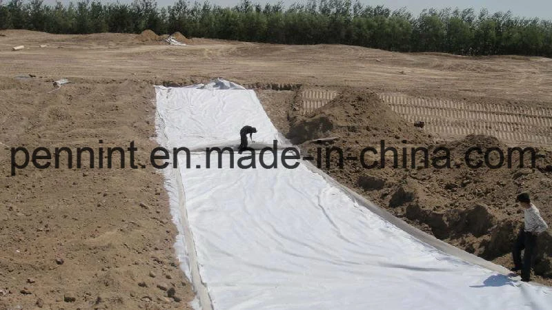 High Strength Non Woven Geo-Textile for Highway /Drainage System Construction Materials