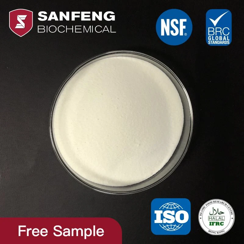 90-98% Collagen for Pharmaceutical Ingredient (CAS 9064-67-9)