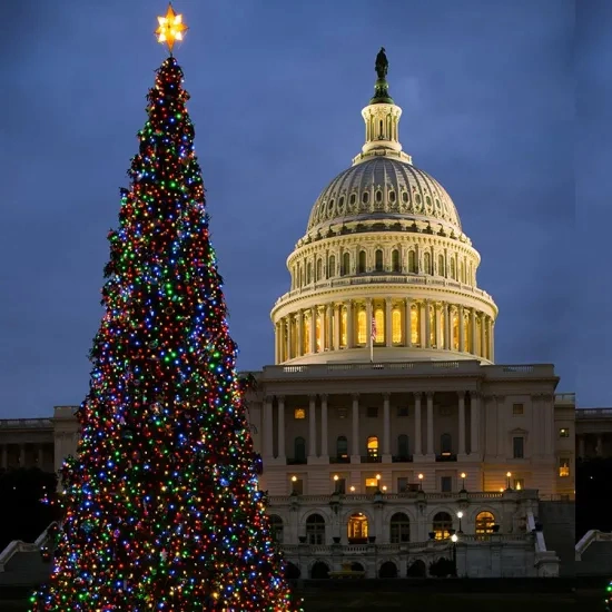 Nouveau design 15m Décoration géant en plein air cadre métallique de grands arbres de Noël artificiel pour City Plaza