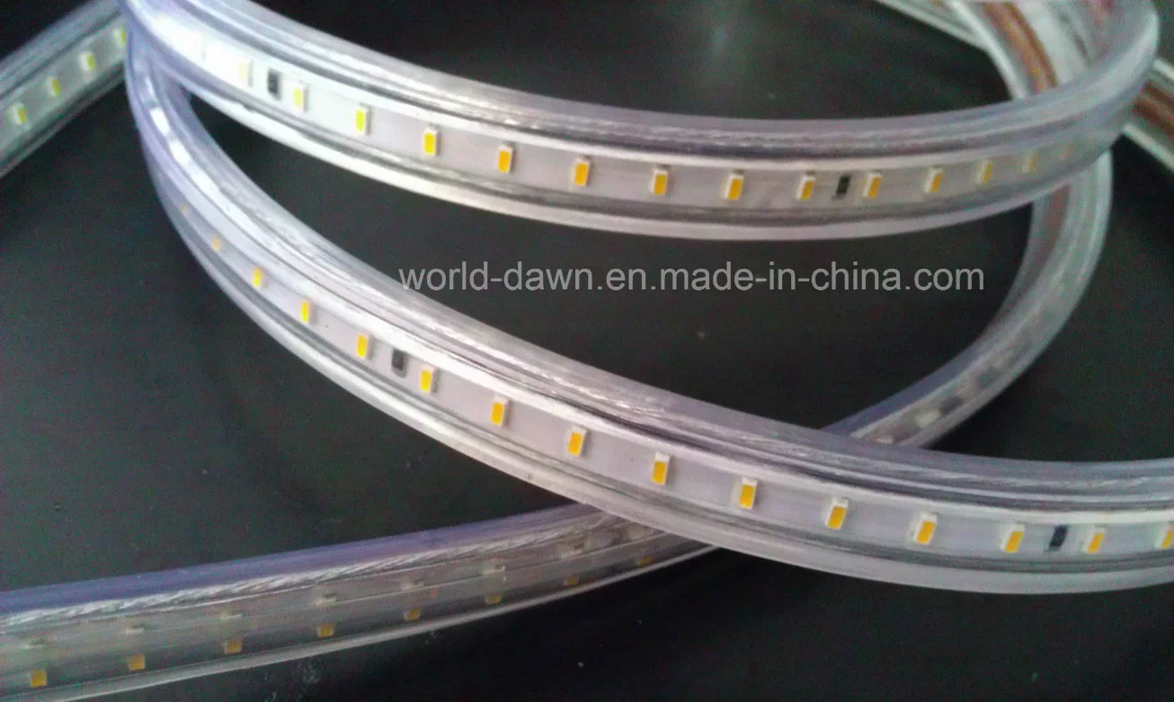 Super Bright 220V 127V SMD3014 Flexible Strip Light IP65 LED Rope Light