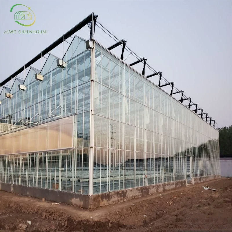 Serre en verre multi-plage de jardin agricole moderne avec système hydroponique/tampon de refroidissement Pour les légumes/fraises