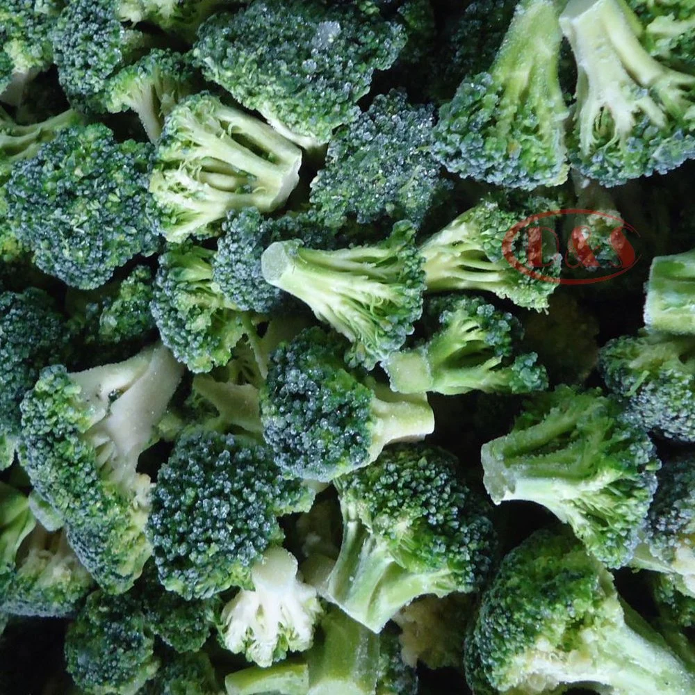 3-5cm Prix de gros de la coupe de fleuret de brocoli IQF congelé.