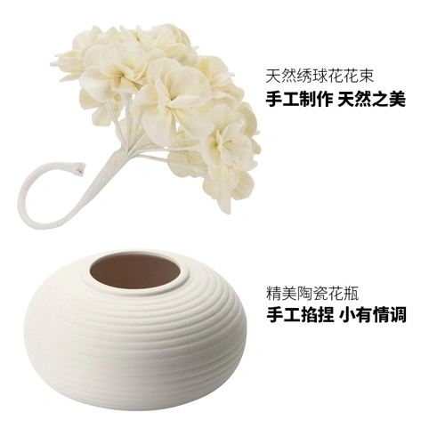 Beautiful 300ml Ceramic Vase with Sola Flower for Reed Diffuser Gift Sets