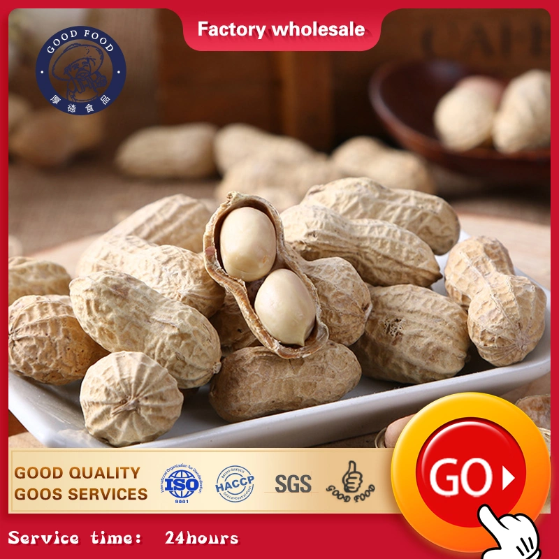 Nature Garlic Taste Roasted Blanched Kernel Peanuts in Shell