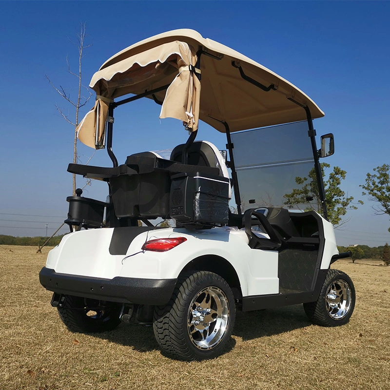 2 Seats Small 4 Wheel Electric Vehicles Cart Prices Electric Golf Car