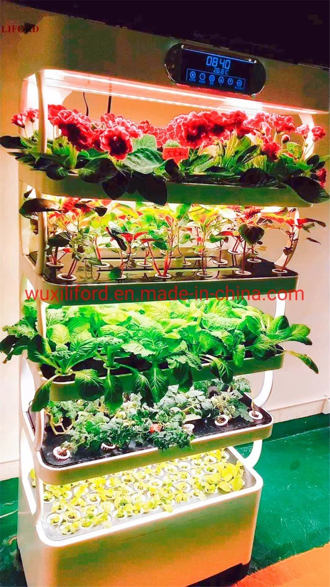 New Hydroponics Soiless Culture Grow Cabinet for High Stem Plants