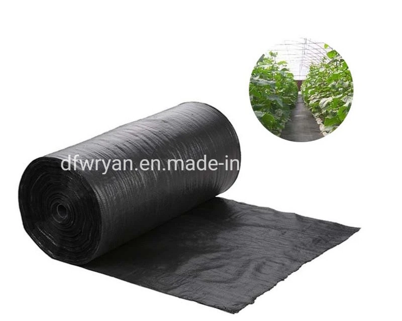 Polypropylene Sack Woven Bag/PP Package Bag/PP FIBC Bag /PP Woven Laminated Fabric