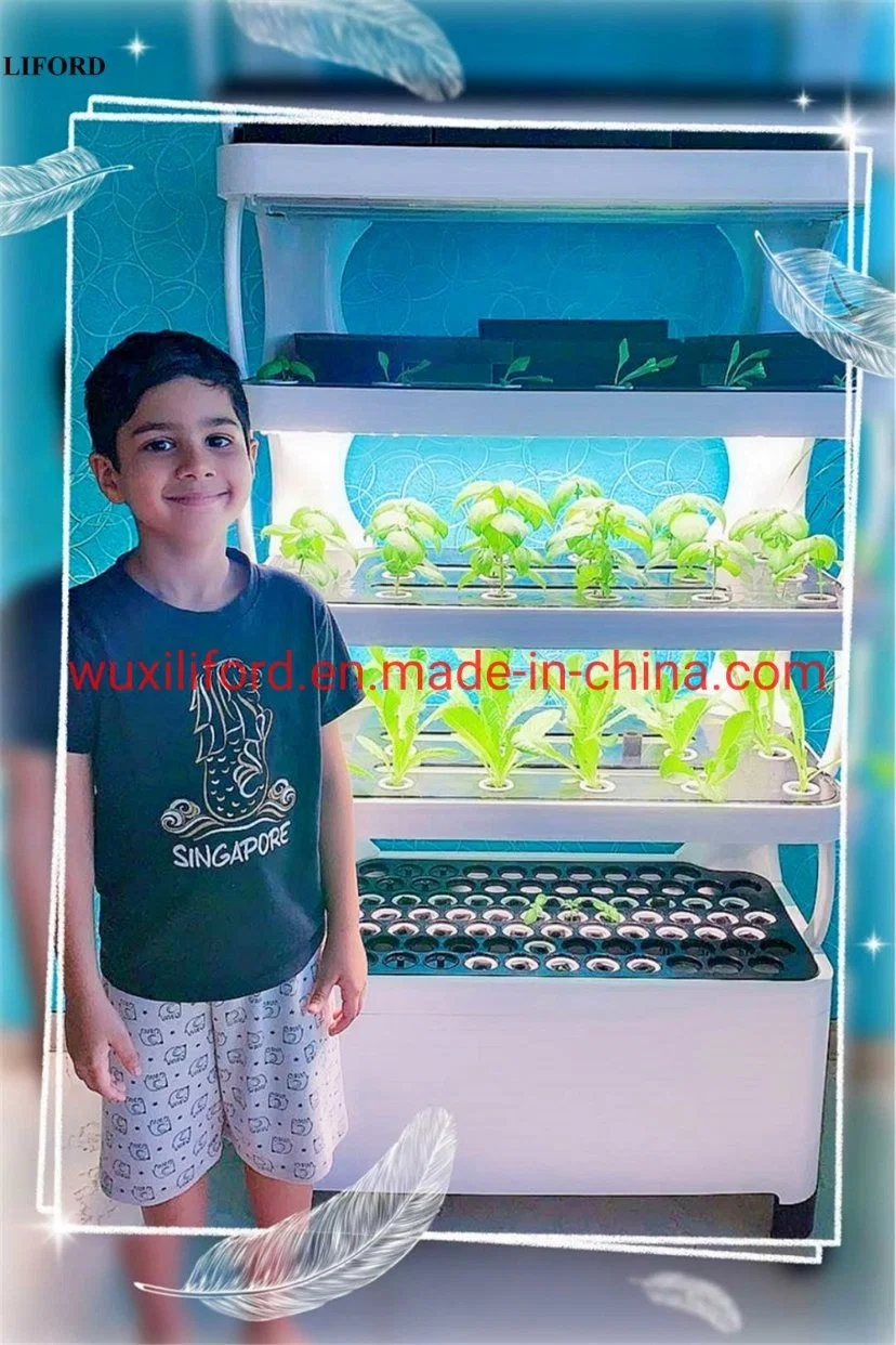 Home and Office Hydroponics Plant Grow Box Systems