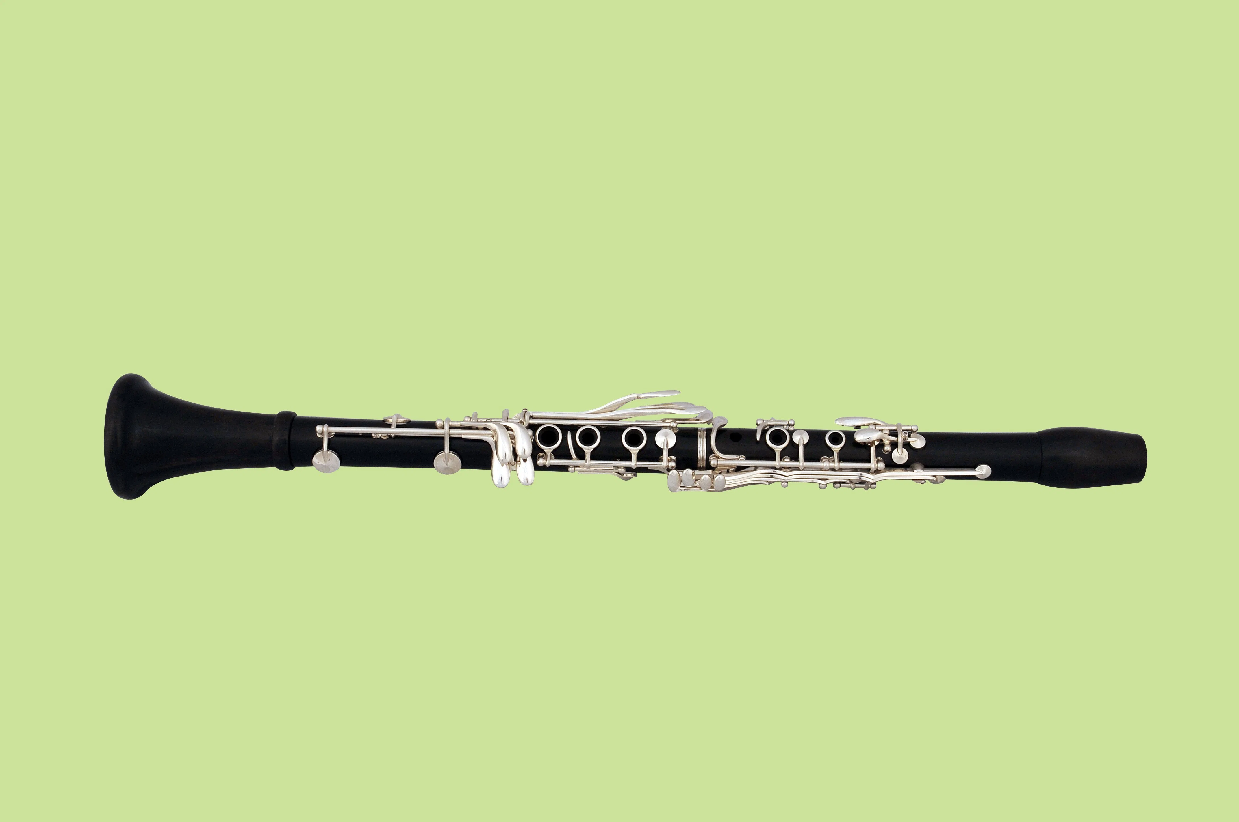 Professional madeira de ébano um clarinete