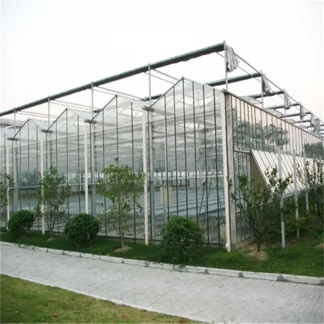 The Glass Greenhouse Factory Sells Well and Is Used for Planting Vegetables and Flowers with High quality/High cost performance 