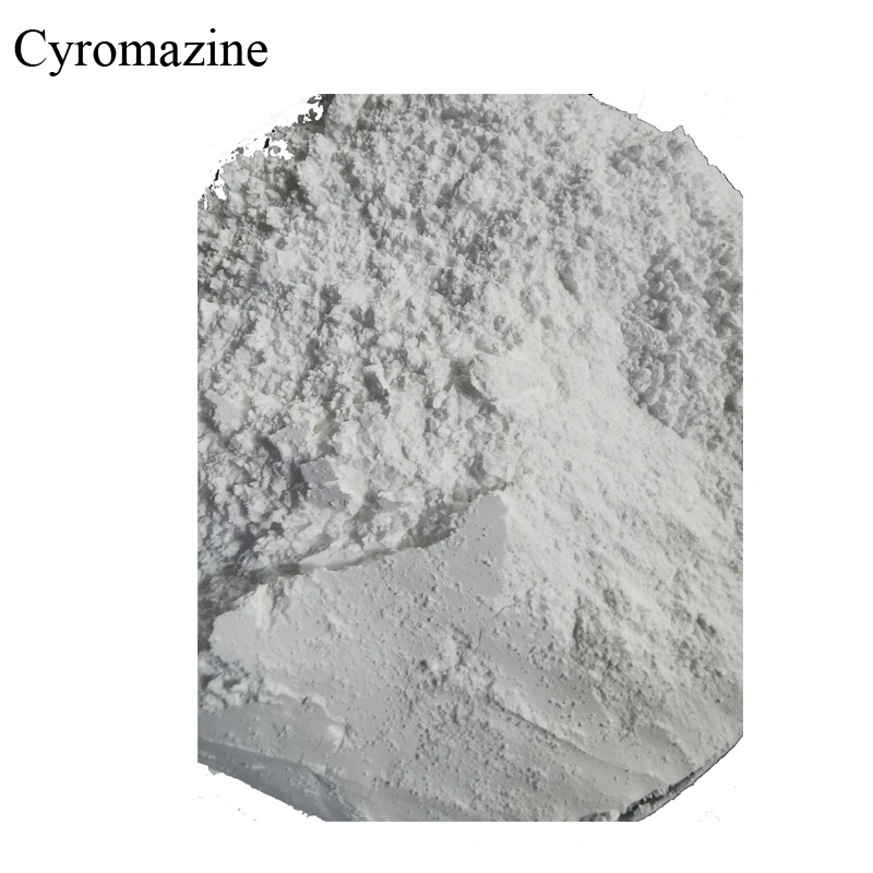 Content 98% Cyromazine with The Wholesaler Price Powder for Insecticide