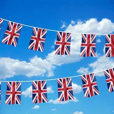 UK Bunting Flags USA Flaglines Flag Wholesale Flag Factory Digital Printing