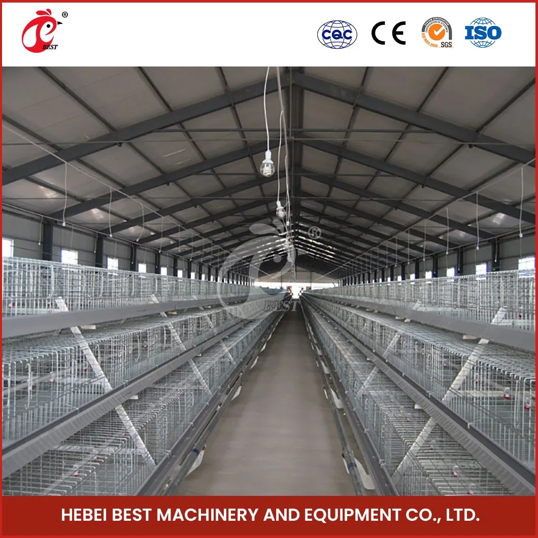 Bestchickencage China Grande Avicultura Crate Fabricante un Broiler automático Marco Jaulas personalizadas 400*400mm Área de trabajo mejor elección Coop de Pollo