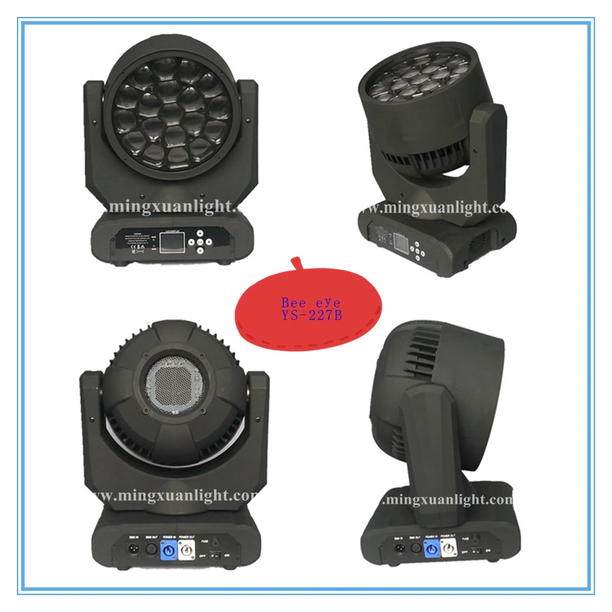 19X12W RGBW Moving Head LED Beam Light