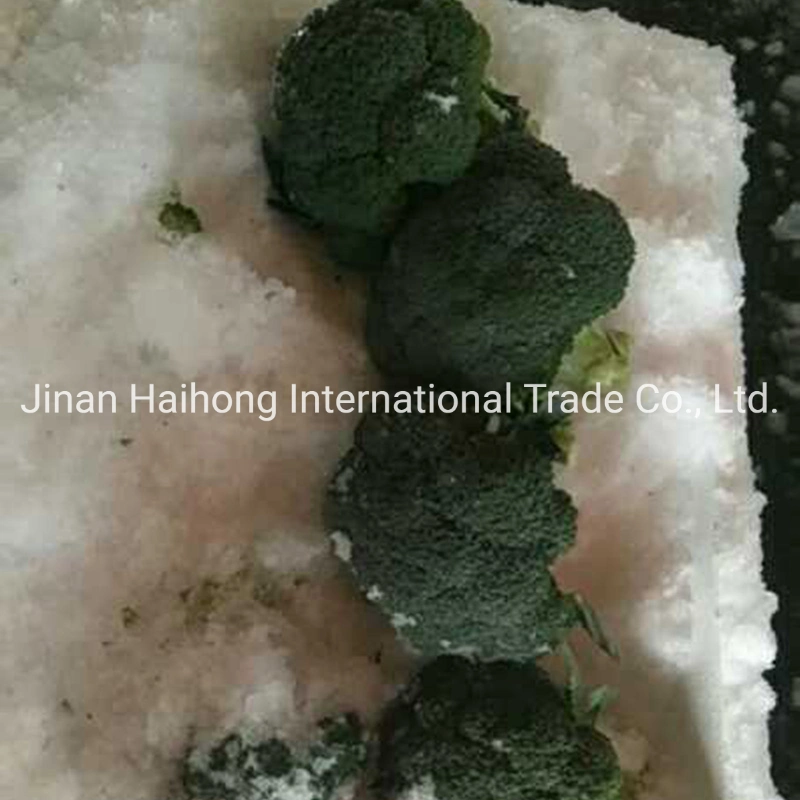 New Crop High quality/High cost performance Broccoli