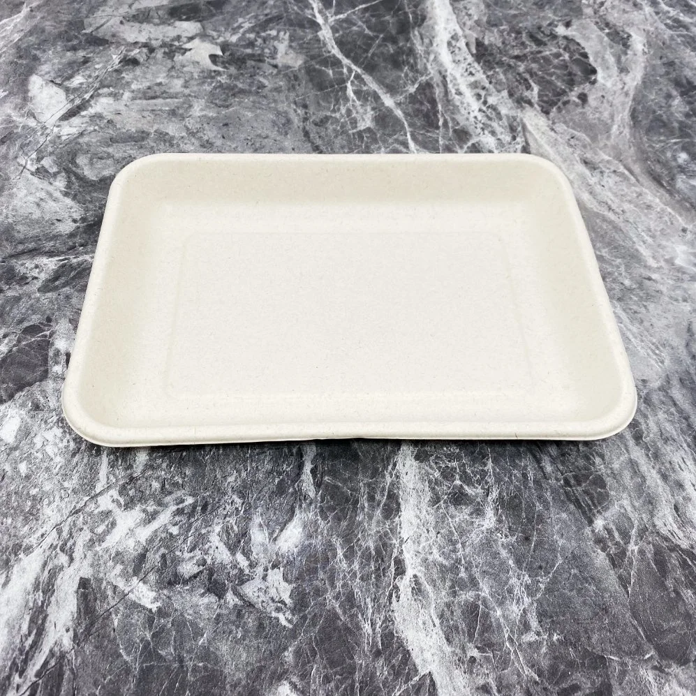 Sugarcane Pulp Moulded Disposable Biodegradable Sushi Tray Takeaway