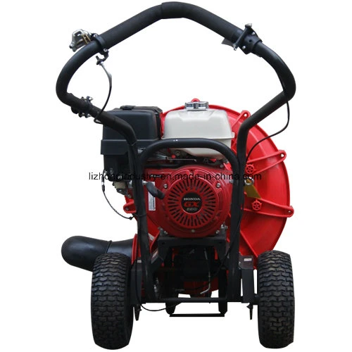 Professional Gas Leaf Blower, Garden Leaf Blower, Garden Vacuum Blower