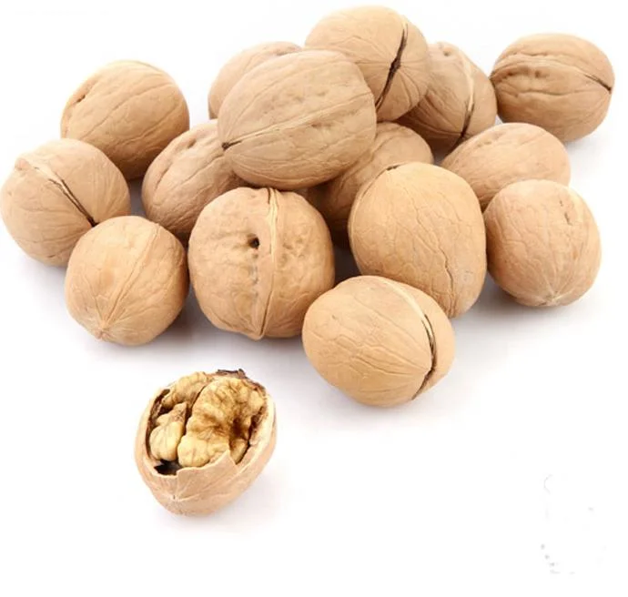 2021 New Crop Harvest Walnut/Walnut in Shell /Walnut Kernel at Good Price