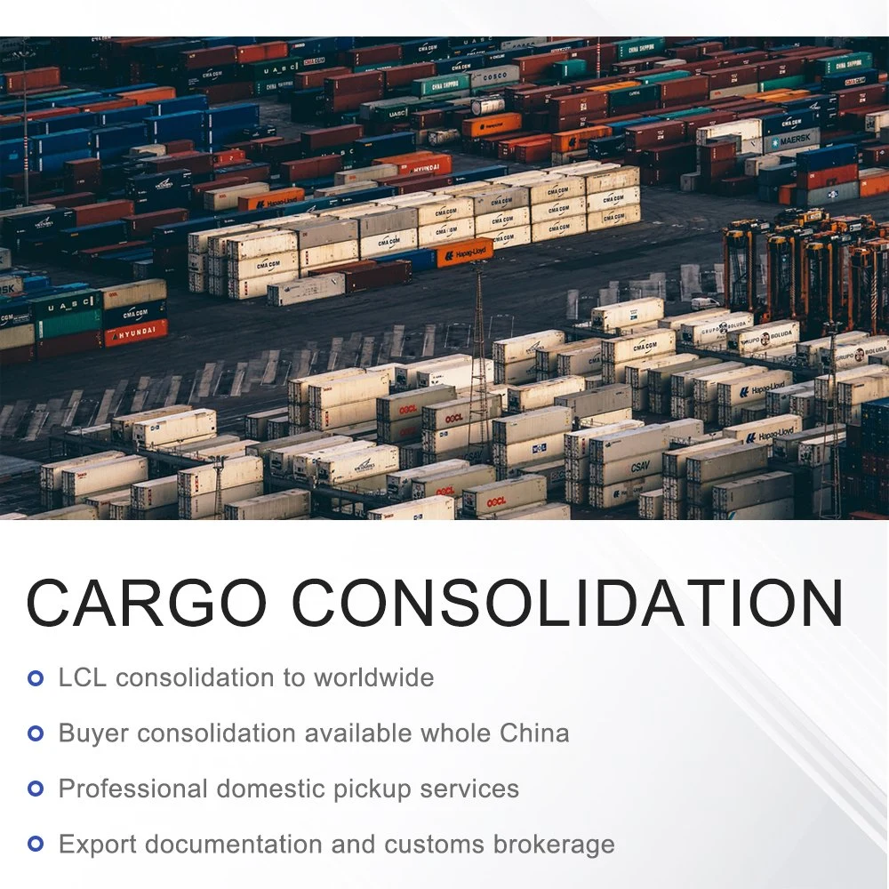 China Container Consolidation Shipping to Savannah or China Drop Shipping to Miami