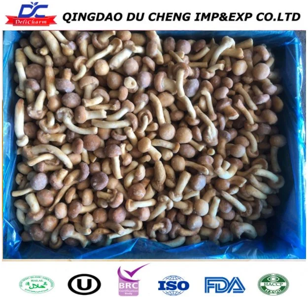 Fresh Organic Frozen Nameko Mushroom, IQF Nameko Mushroom with Wholesale/Supplier Price