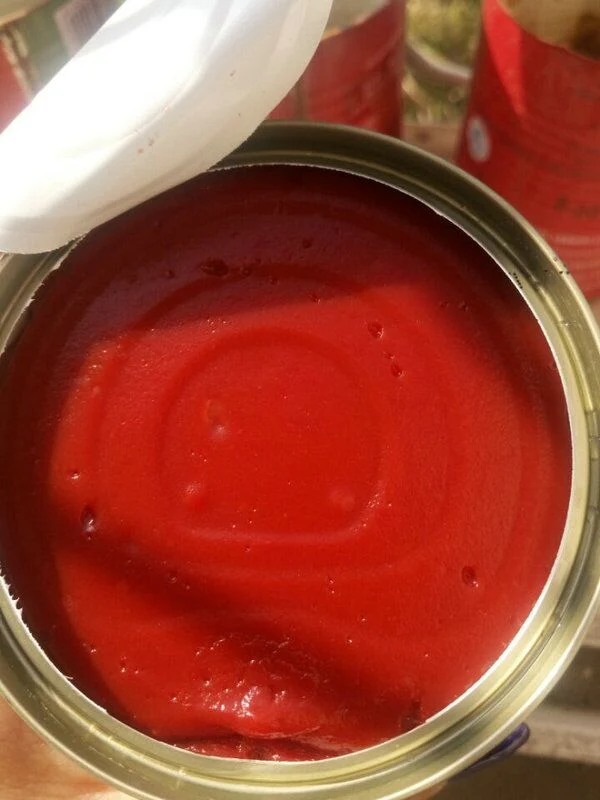 Amende et de la pâte de tomate en conserve en bonne santé 400g*24/CTN