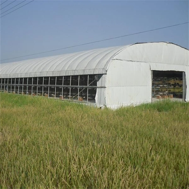 PE Reflective Plastic Panda Film, Black White Film Bunker Cover Side Proof Ventilation Light Deprivation Greenhouse for Medical Plants