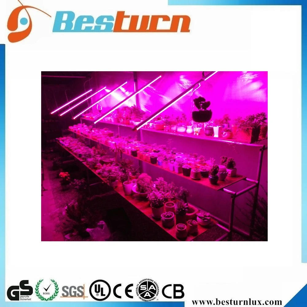 T8 18W espectro completo de la planta crezca el tubo de luz LED