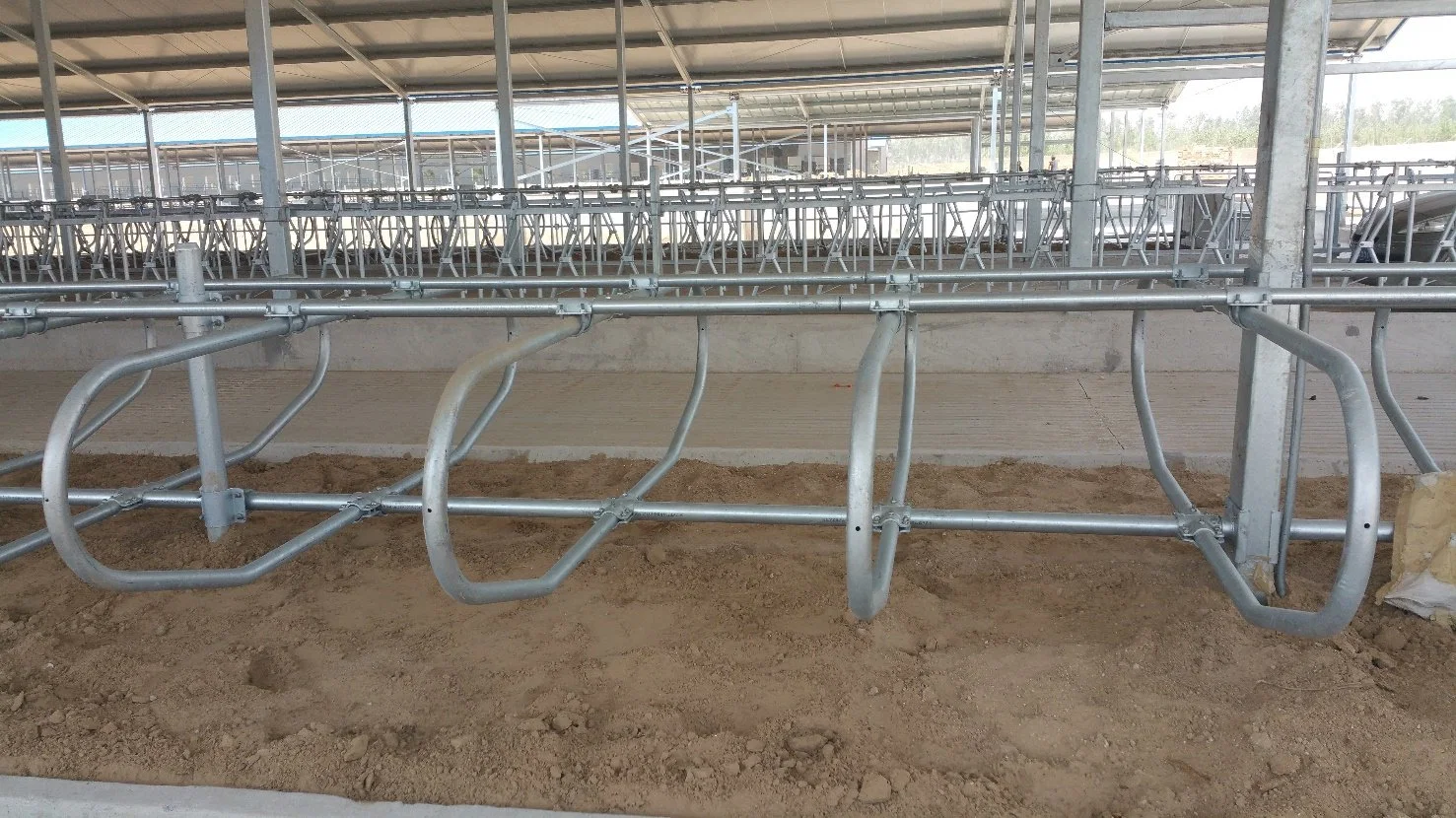 Good Quality Livestock Equipment Cattle\Horse Free Stall for Hot Sale