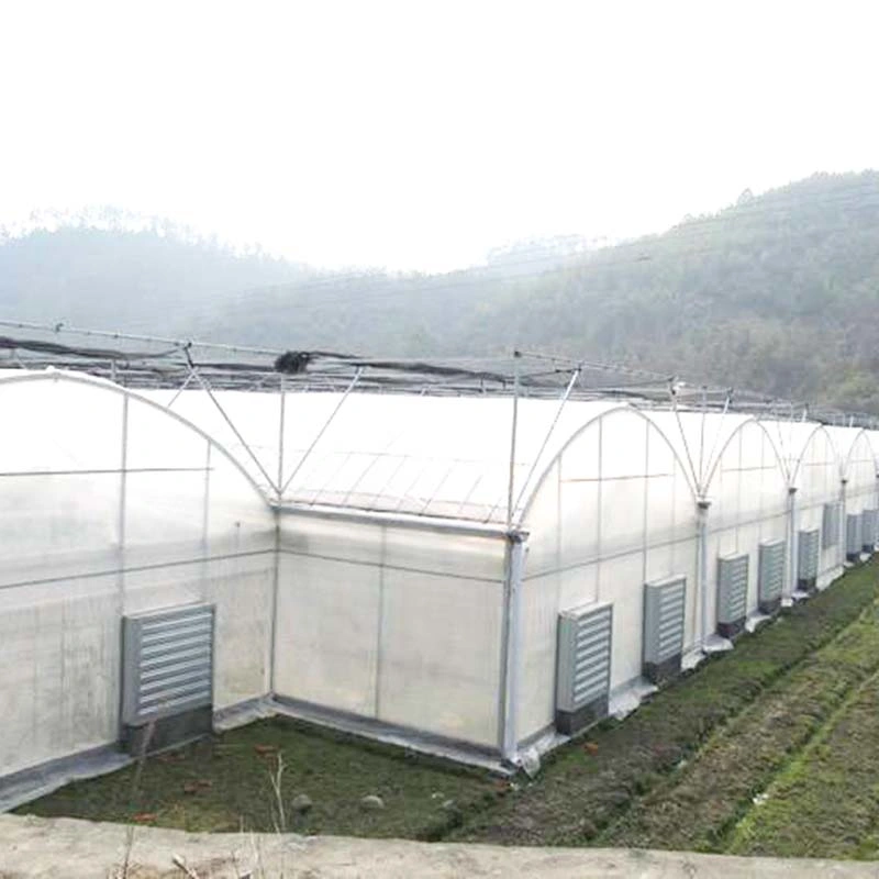 Single Span Po Film Tunnel Greenhouse