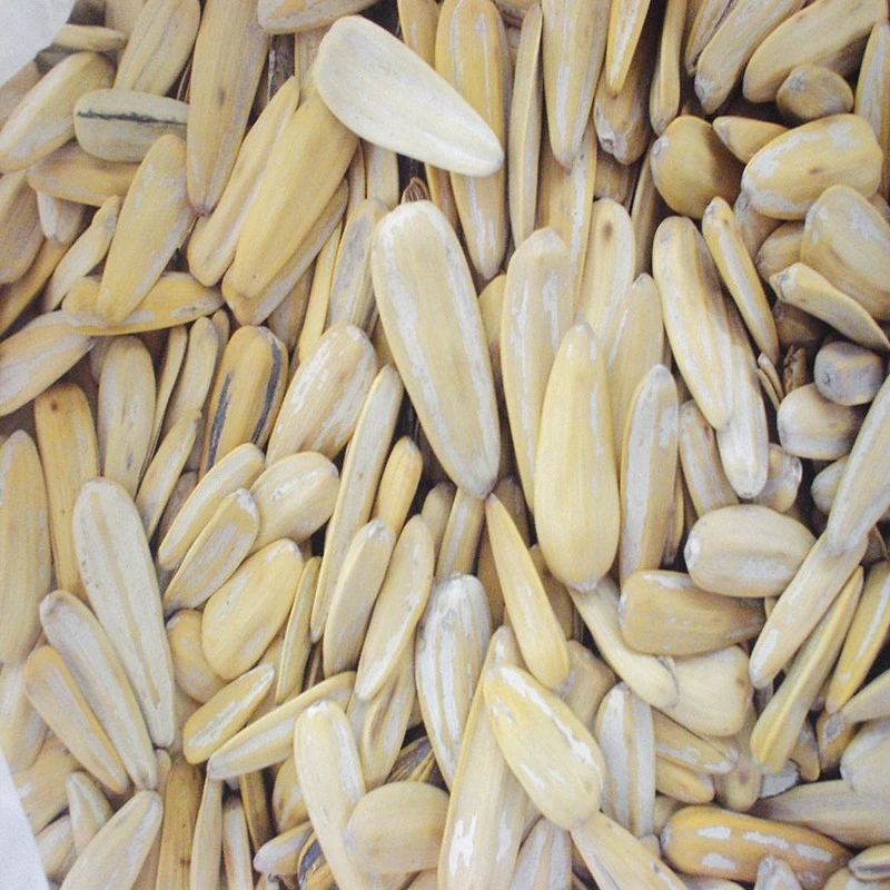 Factory Obtain ISO Roasted Peeled Spiced Flavor Sunflower Seeds