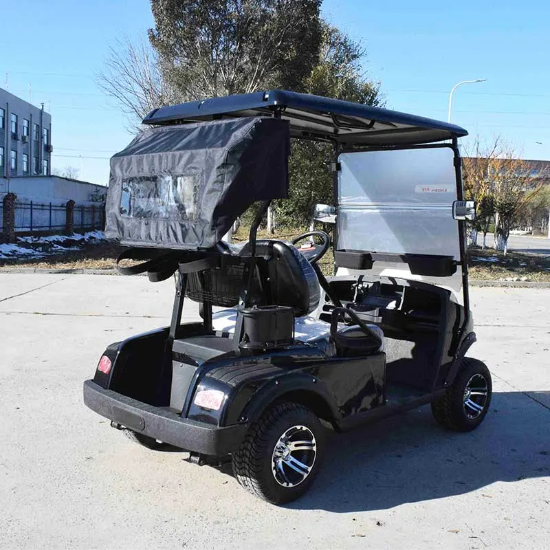 L'essence/électrique 4/8 places voiturette de golf siège unique Golf Accessoires de chariot