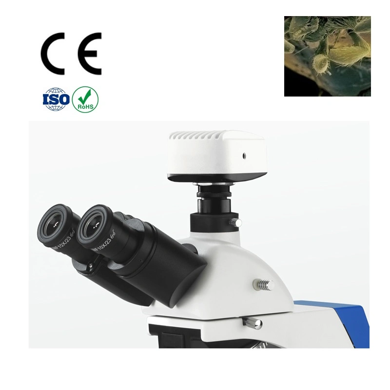 1600X Trinocular Biological Student Microscope with Eyepiece Tube Dia. 30mm 360 Degree Rotatable