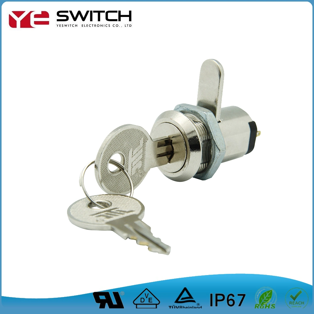 Dual Function Electronic Mechanical off on Key Lock Switch