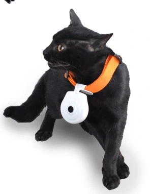 Digital Pet Eye View Cam طوق كاميرا مراقبة مسجل الفيديو لدوغ Cat (avp004D)