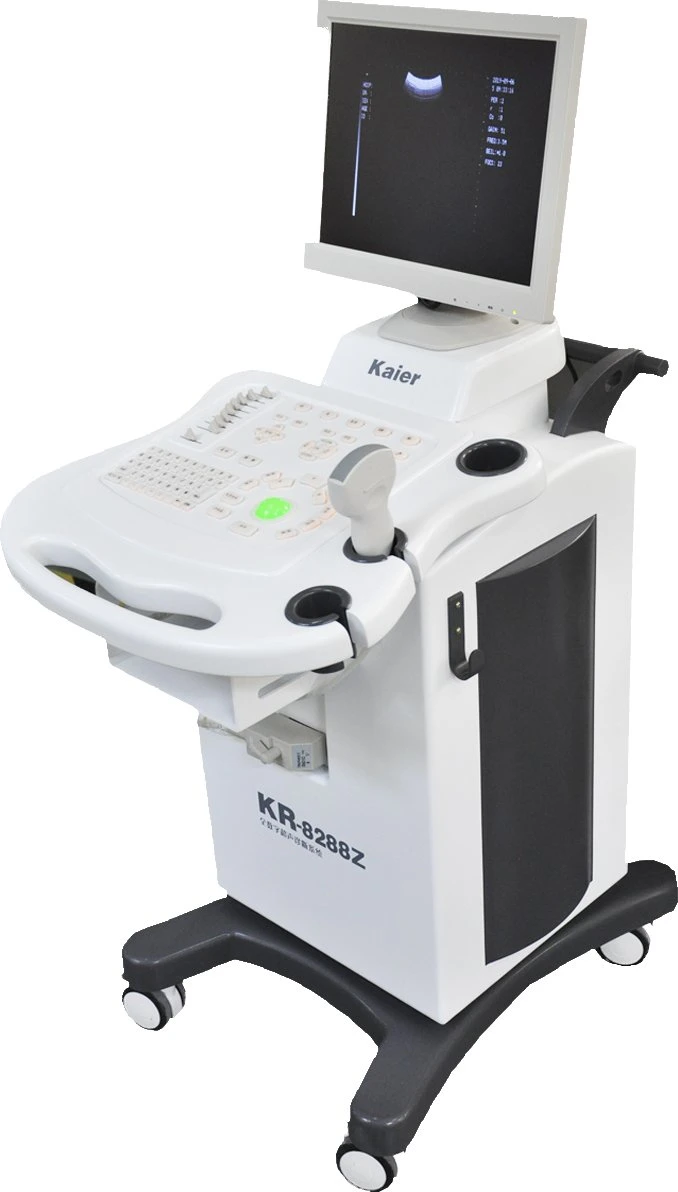 Ultrabajo precio Cart Ultrasound en blanco y negro con Convex Array Sonda