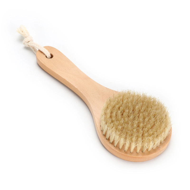 Long Handle Double-Sided Bath Brush Rubbing Brush Bristle Brush Back PP Soft Hair Bath Brush