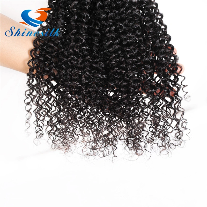 Malaysian Afro Kinky Curly Hair Virgin Malaysian Curly Hair