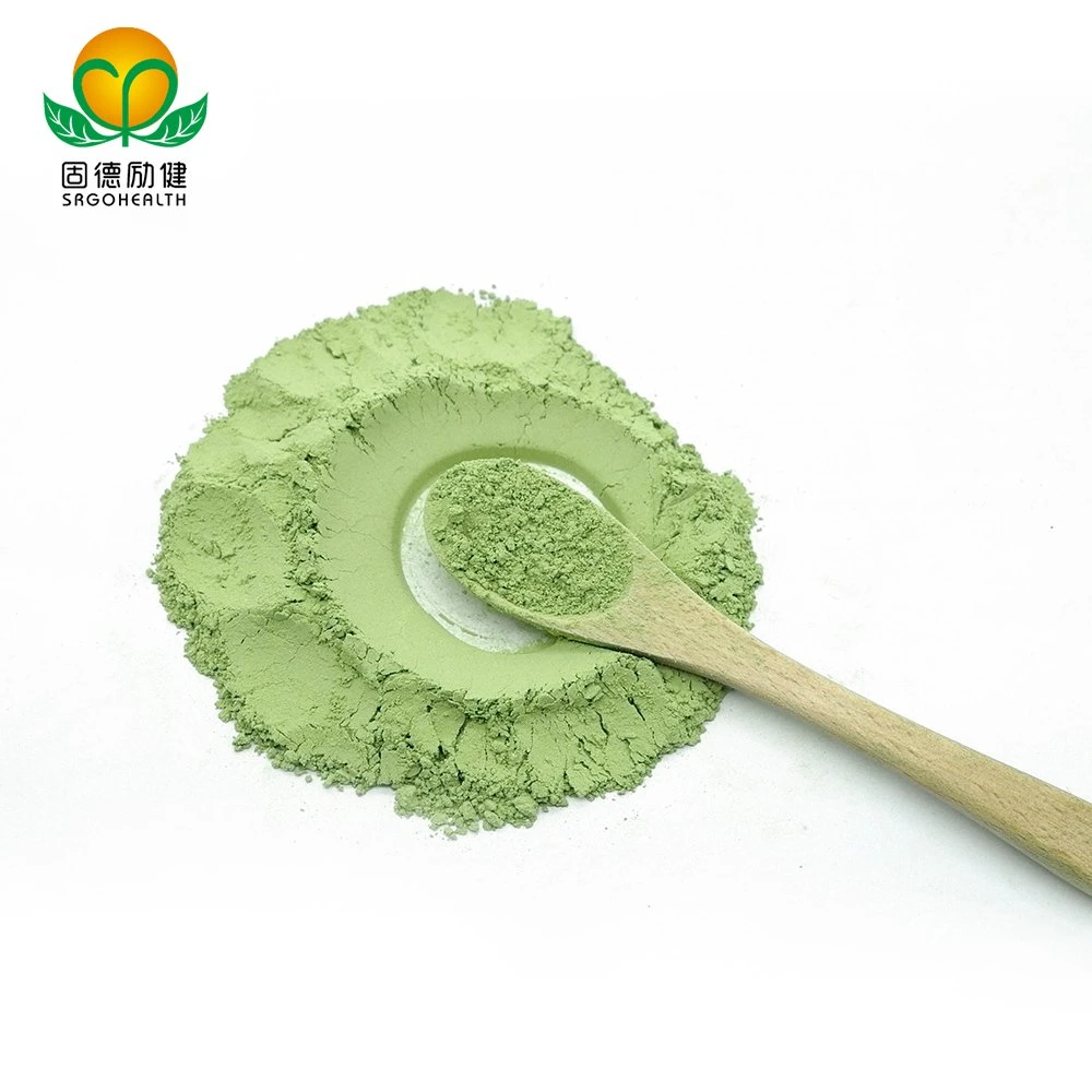 مسحوق جديد لقطعةGMP معتمدة من Matcha Powder