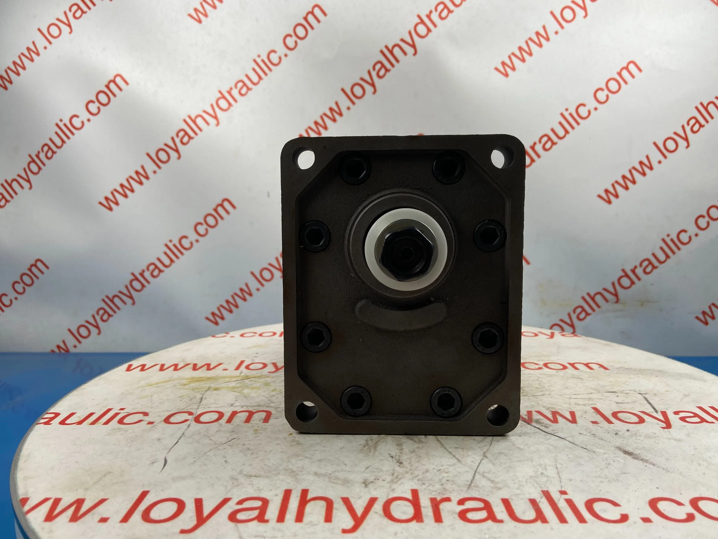 L-Caproni Hydraulic Gear Pump Alp2d16/Alp2d20/Alp2d22/Alp2d34/Alp2ad6/Alp2ad25 for Forklift, Crawler Excavator, Agricultural Machinery, Tractor Spare Parts