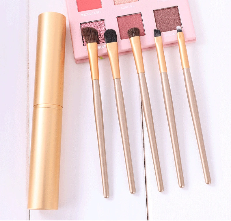 Professional Makeup Brush Set 5PCS Travel Brush Set for Face and Eyes Synthetic Hair Cosmetic Brush Set with Storage Box