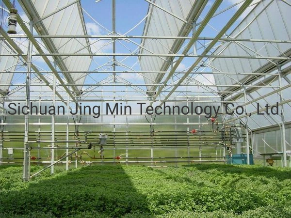 A Shape Roof / Arch Roof PC Sheet Covering Greenhouse