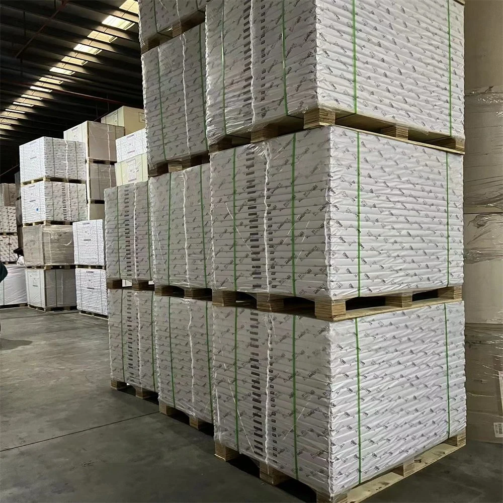 Virgin Pulp Unprinted Paper Roll Raw Materials for Paper Cups