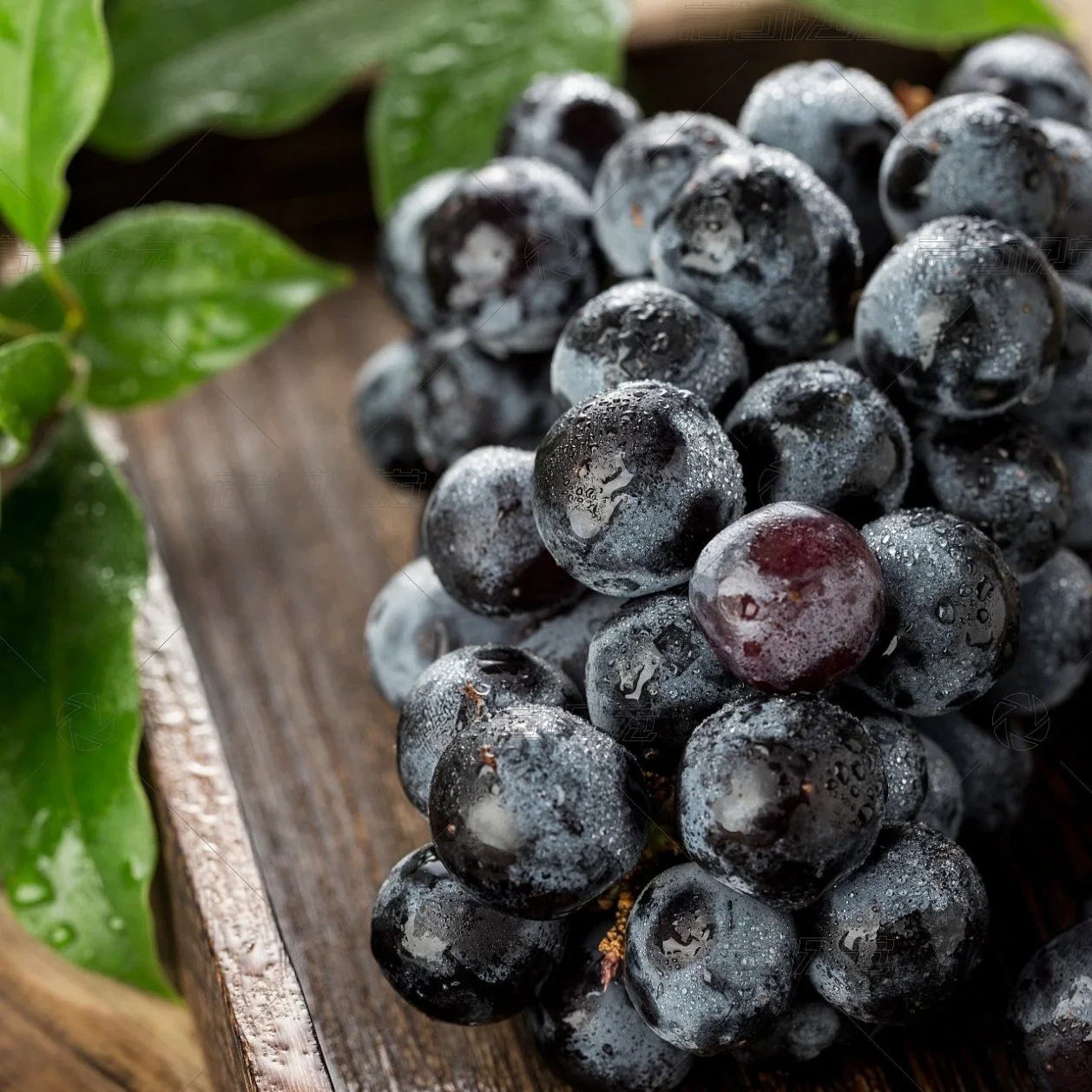 100 % puro de alta qualidade Natural orgânicos naturais extrato de semente de uva