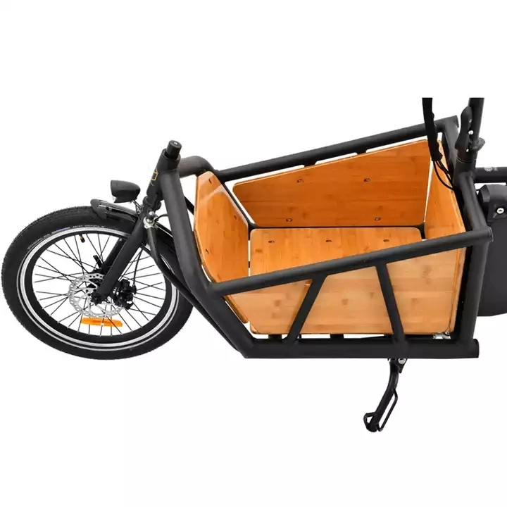 Two Wheel Electric Cargo Bike Used for Adult Family