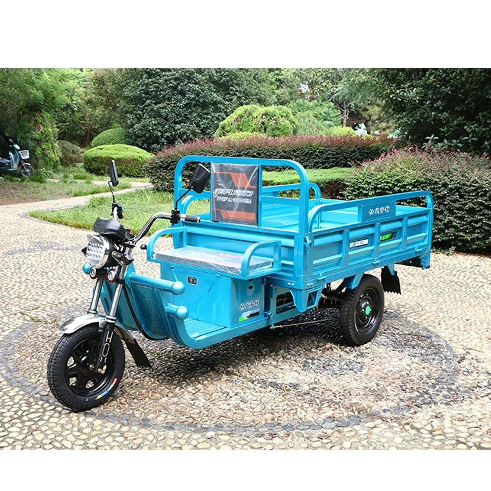 Brand Tl150 Cheap Price Wholesale/Supplier Bulk Electric Tricycle for Cargo 1000W 1200W Heavy Load Open Type Trike Low Price