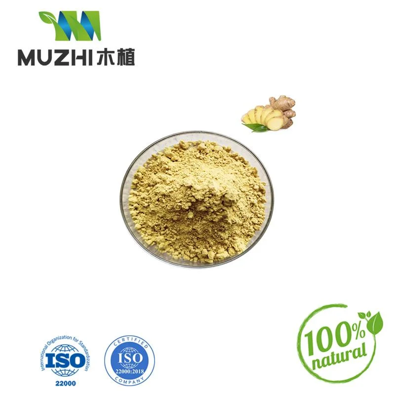 Ashwagandha Powder High quality/High cost performance Pure Organic Ashwagandha Extract Powder