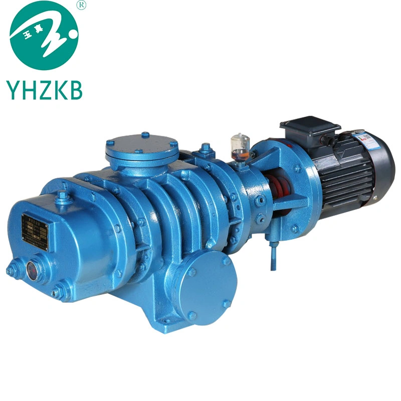 Oil Air Roots Vacuum Pump for Chemical Industry