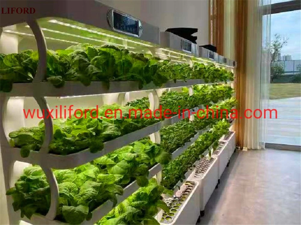 Vertical Farming Hydroponics Growing System with LED Grow Light